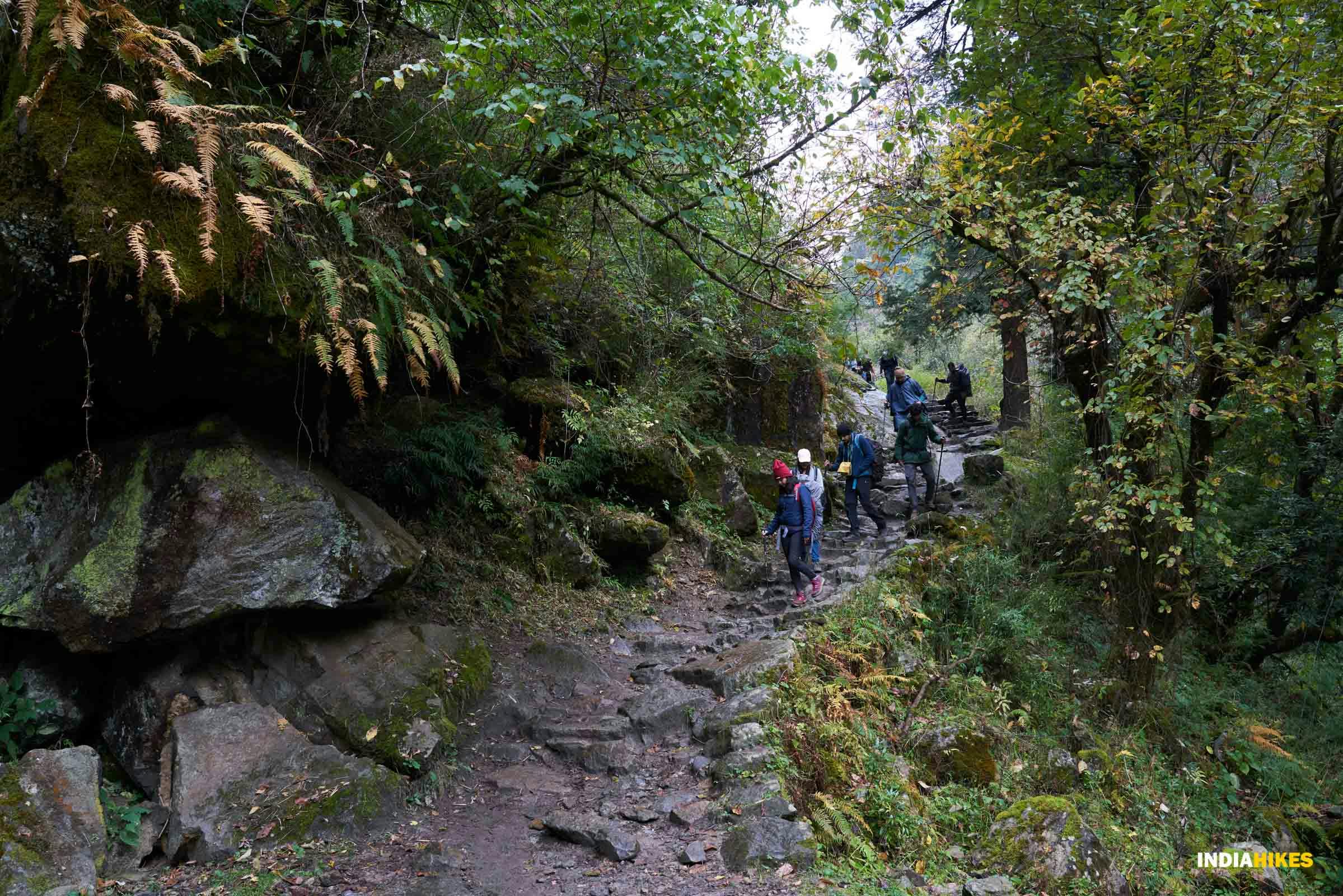 0fed327a e9c6 47bb a85e aa3a4287e28e har ki dun hkd shreyas vanmali trekkers on trail forest section autumn colours  %282%29