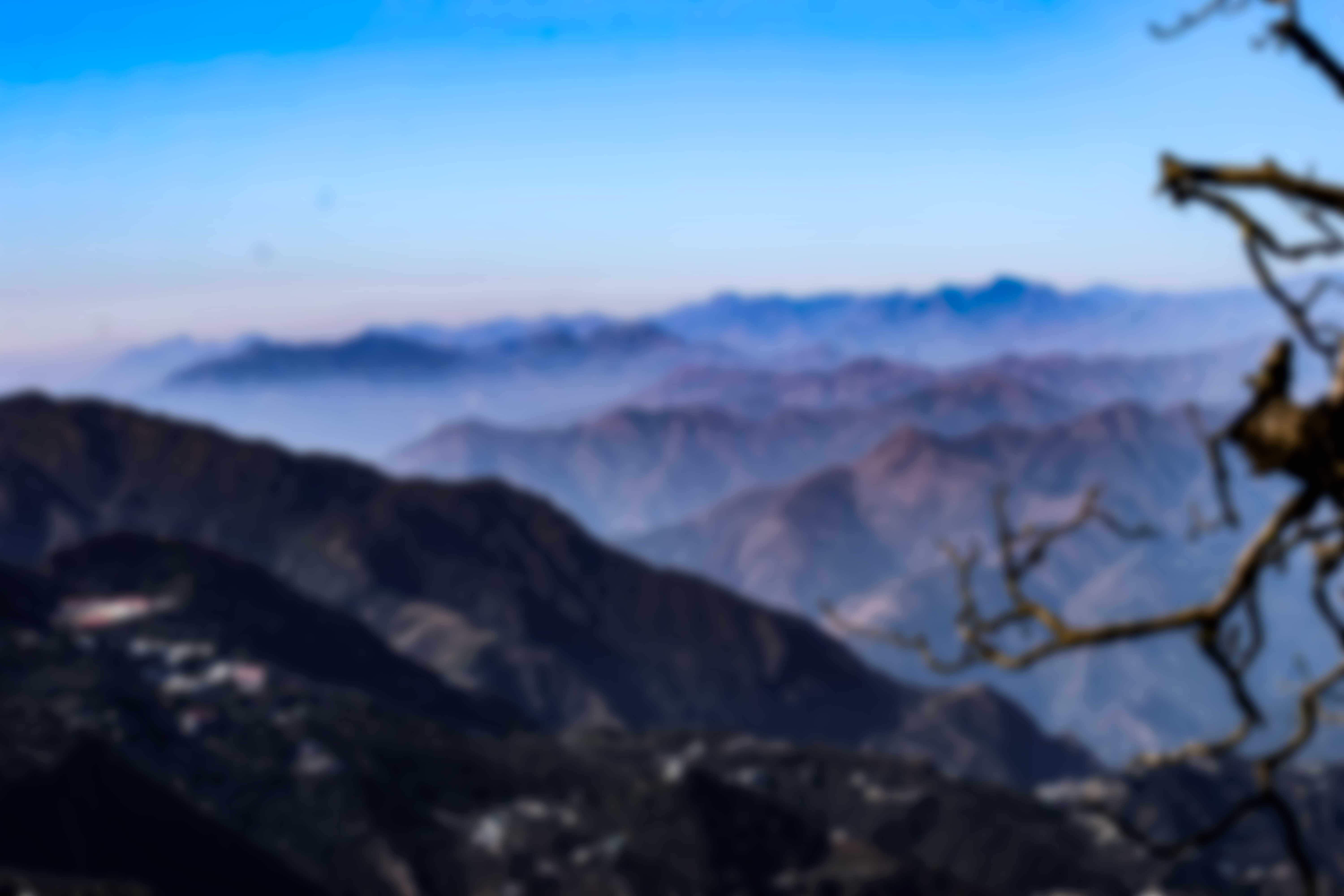 low-preview-11be9a72 38f6 482e 8fe0 c1536a4b8fe0 viewpoint on the way lal tibba trek indiahikes deepali bansal