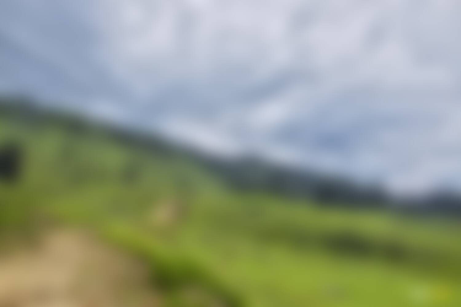 low-preview-12a58c8c 34c3 4969 87d7 3c54bc3378f7 asther valley trek indiahikes nithesh kumar july 2022 website resolution 44