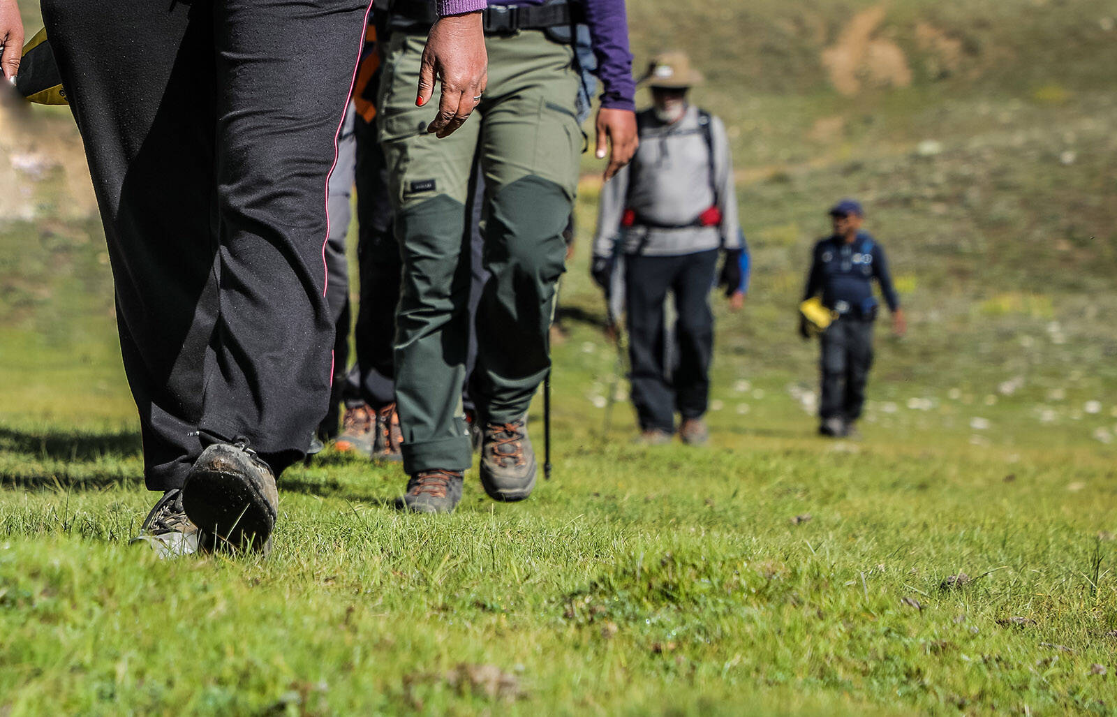 low-preview-157643c3 b374 4197 bfb7 047f357dd072 miyar valley indiahikes jothiranjan sep2021  %28132%29