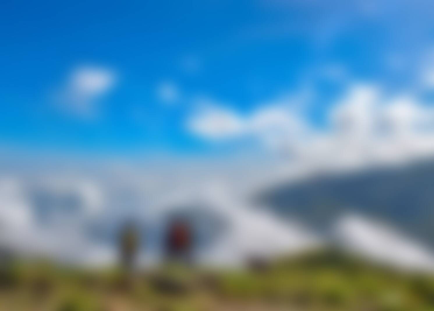 low-preview-193b7964 90d1 4b10 9664 8858f8600d10 kodaikanal trek suhas saya april 2023 18