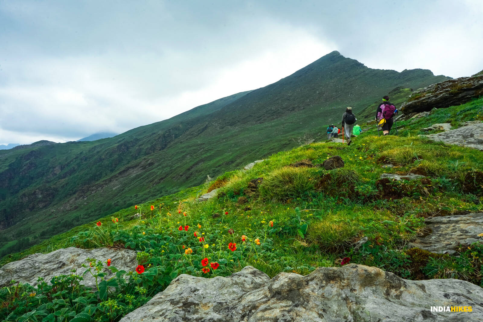 Phulara Ridge Trek 2026 | India’s Best Ridge Walk