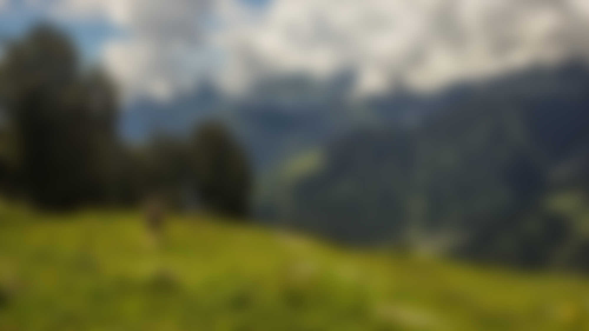 low-preview-Patalsu - View of Bara Bangal Range with shepherd walking in Foreground - Indiahikes