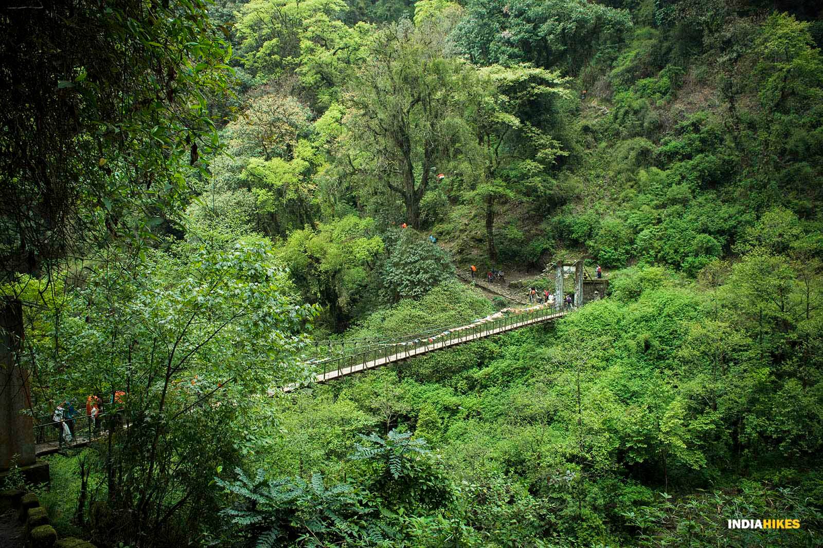 low-preview-3c12e6e5 58d6 4ad7 900d 9c9fd7f1d7ba goechala trek indiahikes sarth rastogi   forest   bridge   greenery %281%29