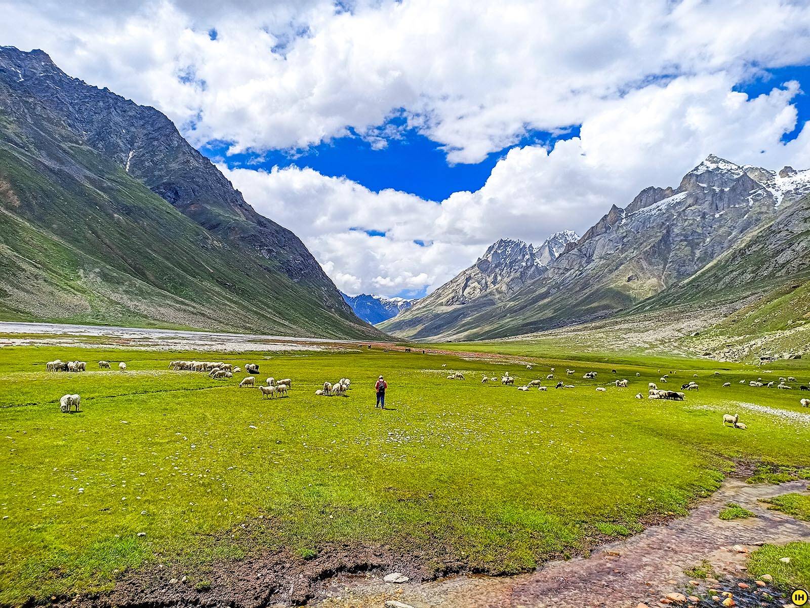 low-preview-3d302685 27f6 440e 9b1d 673b212cd972 miyar valley mv indiahikes akshay exploration july 2021 %2845%29