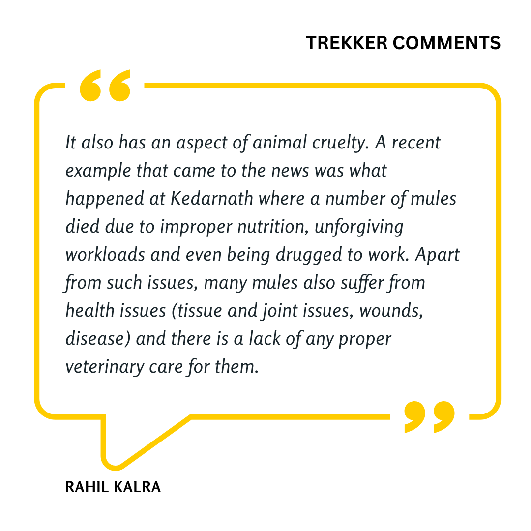 low-preview-3e5726a5 8cce 4892 9943 eafac24d6a93 offloading comments %284%29