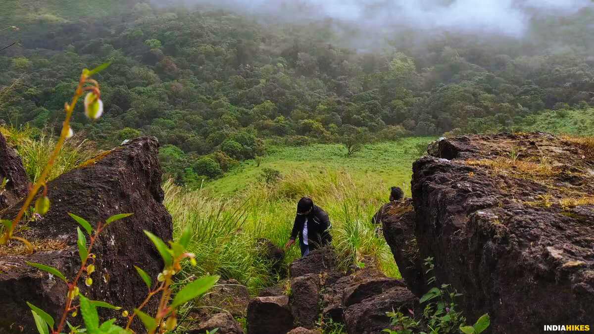 Rock section, summit push, Ettina Bhuja trek, western ghats treks, Indiahikes, treks in Karnataka, weekend treks ffrom Bangalore