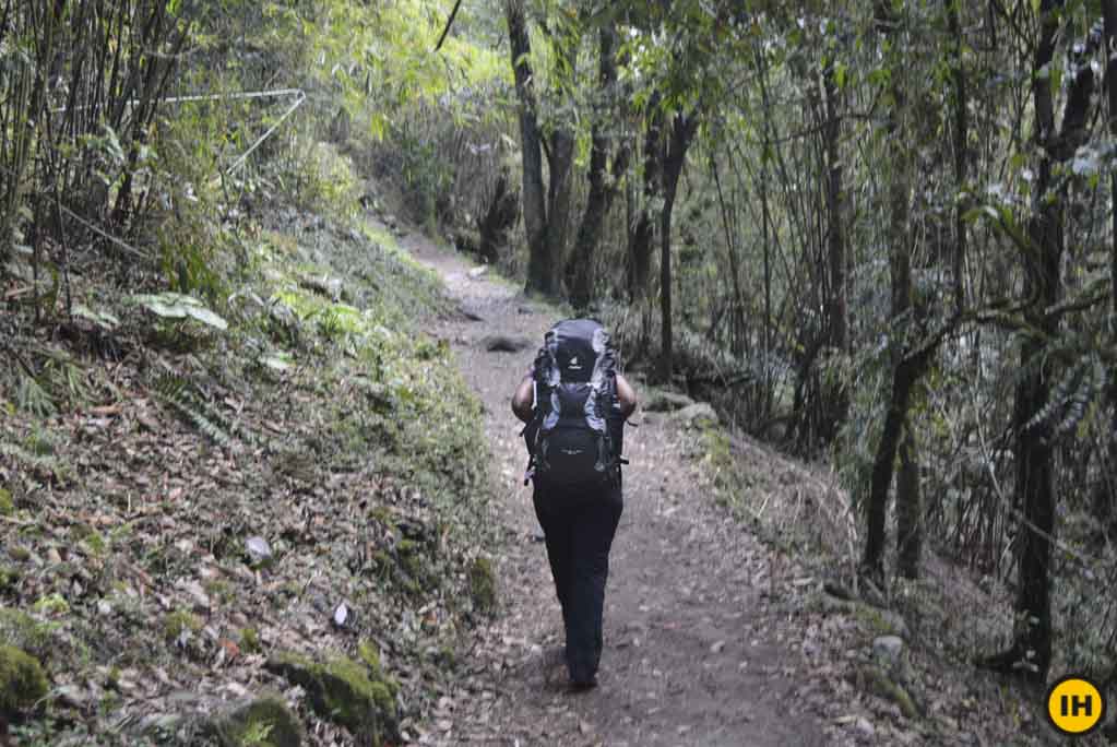 Deuter futura vario fashion pro 50 10 pack review