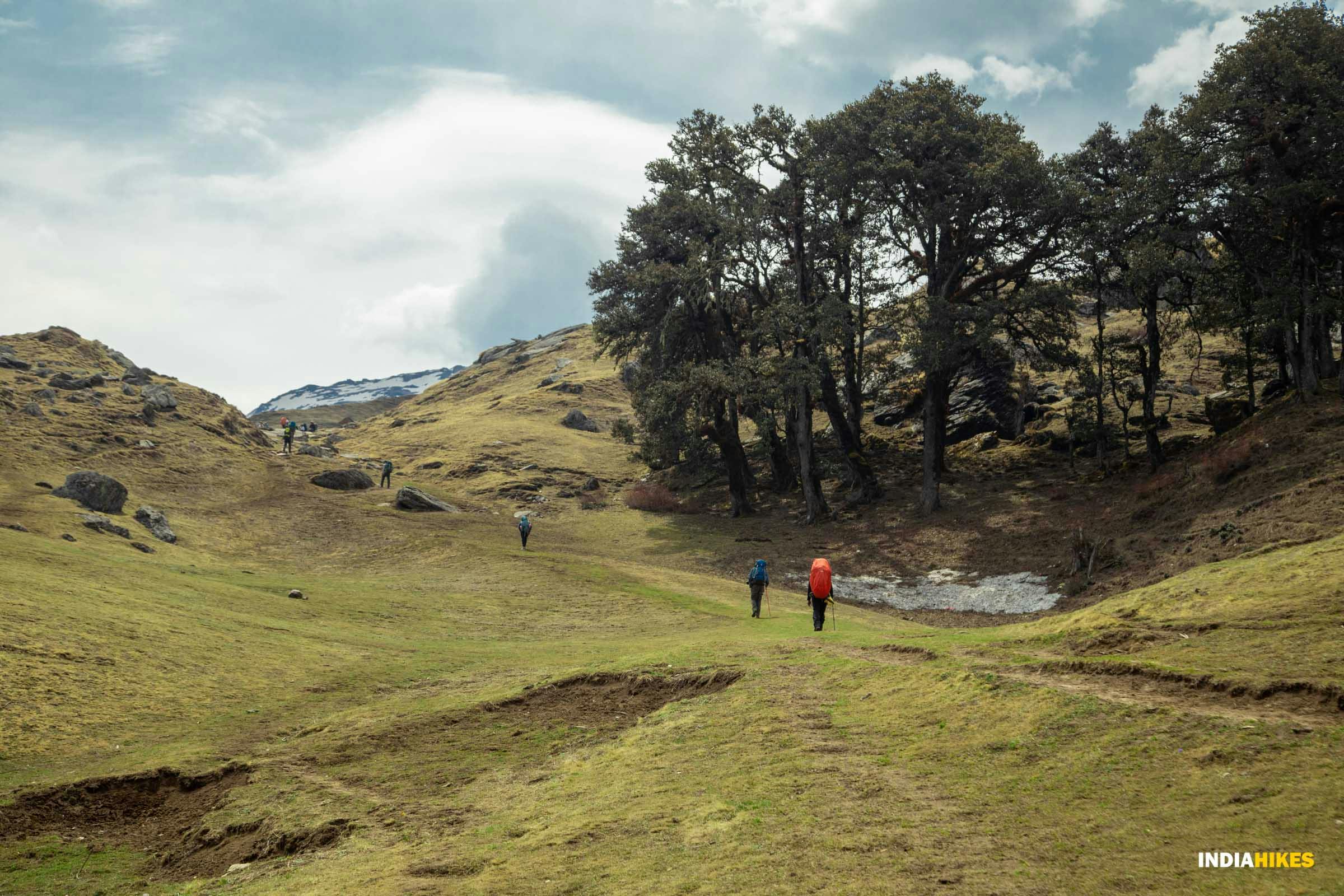 4b606c52 9359 4f29 8868 3620bf4ac792 pangarchulla trek pg indiahikes jothiranjan way to bugyal trailwithtrekkers 