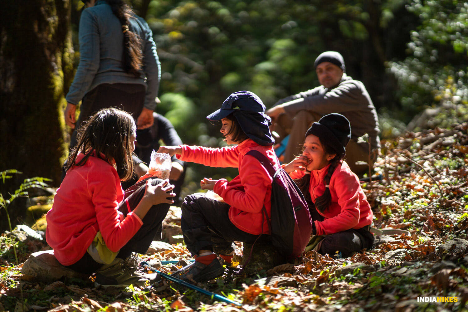 low-preview-5455b014 864a 45b4 992e 9ccc5f4dd205 dayara bugyal   nayata   vishnu sivanandan   indiahikes 37