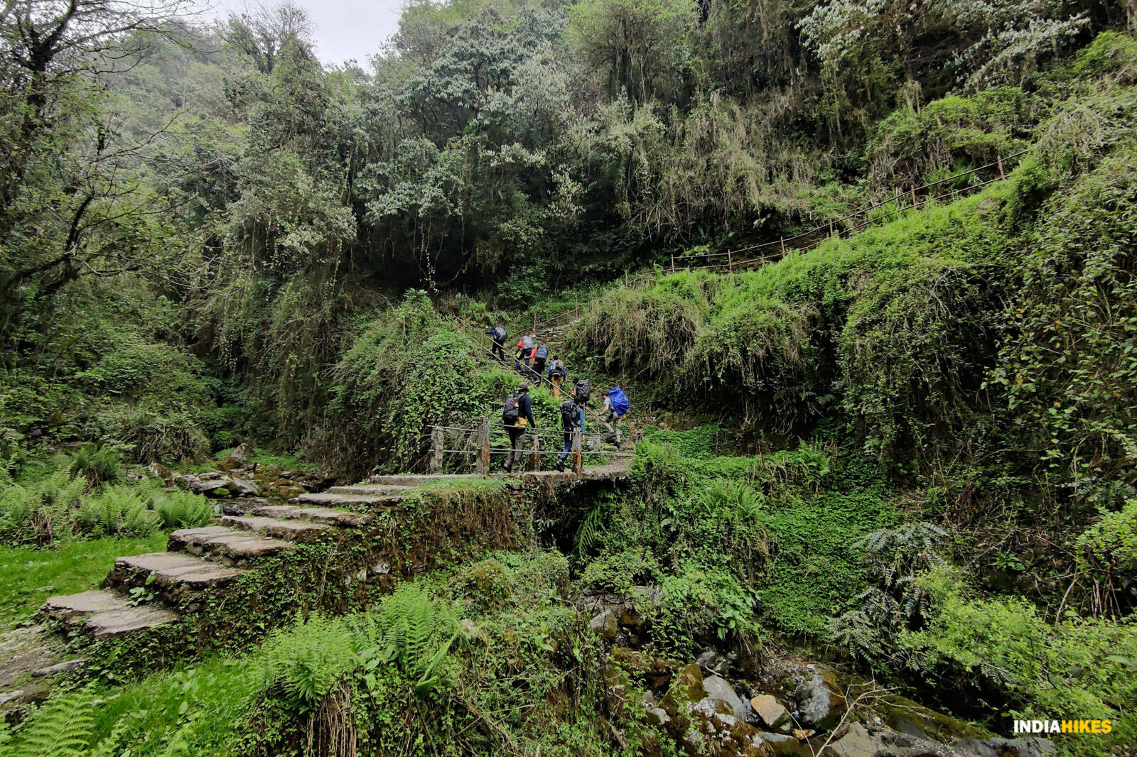 low-preview-5c619b30 1543 45d0 83e7 f74f74ac2070 trail khopra ridge nitesh kumar indiahikes