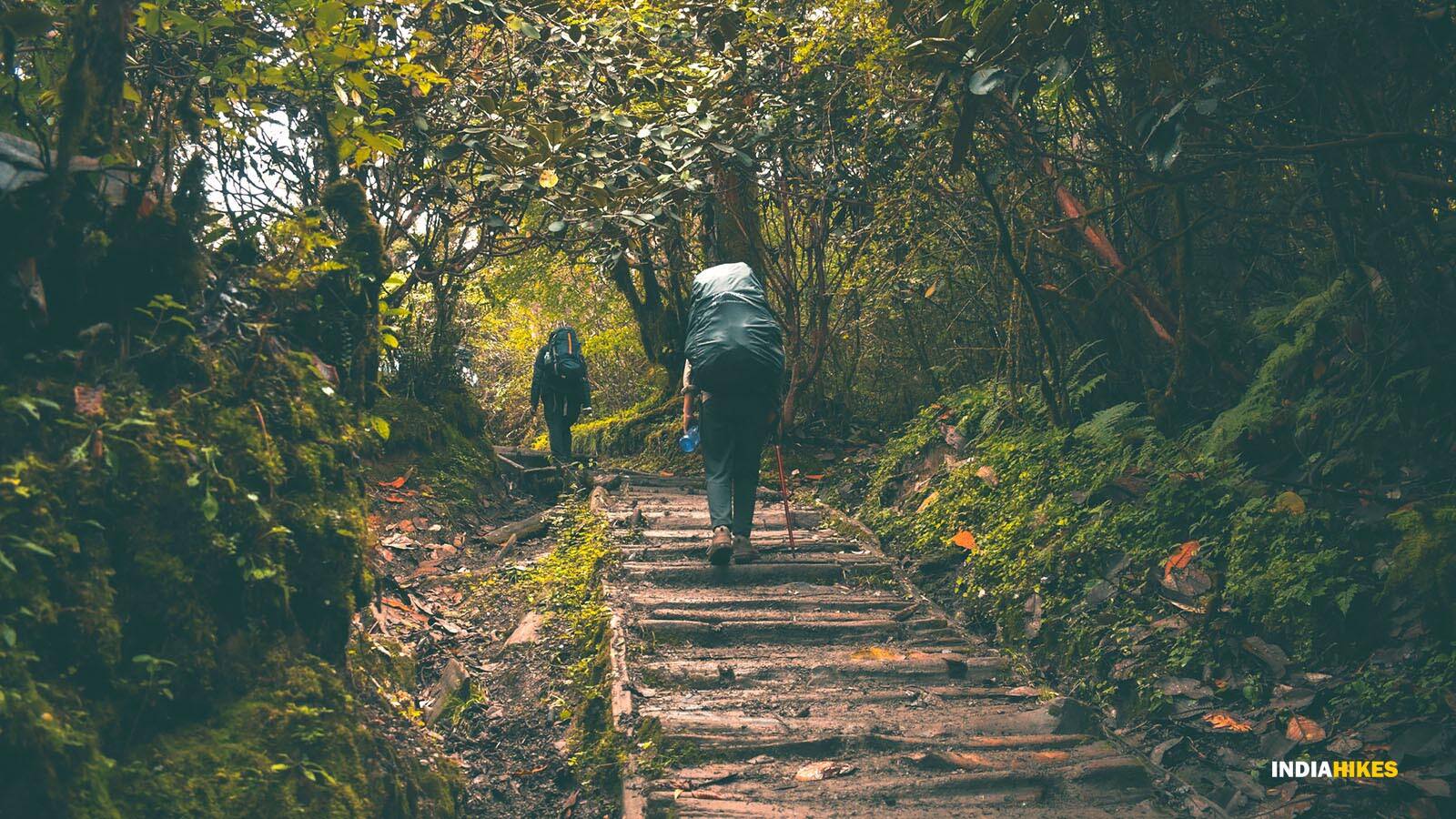 low-preview-669dc670 d124 4d75 ae43 99a2be20e907 goechala vishal gupta photocontest oct2021  %284%29