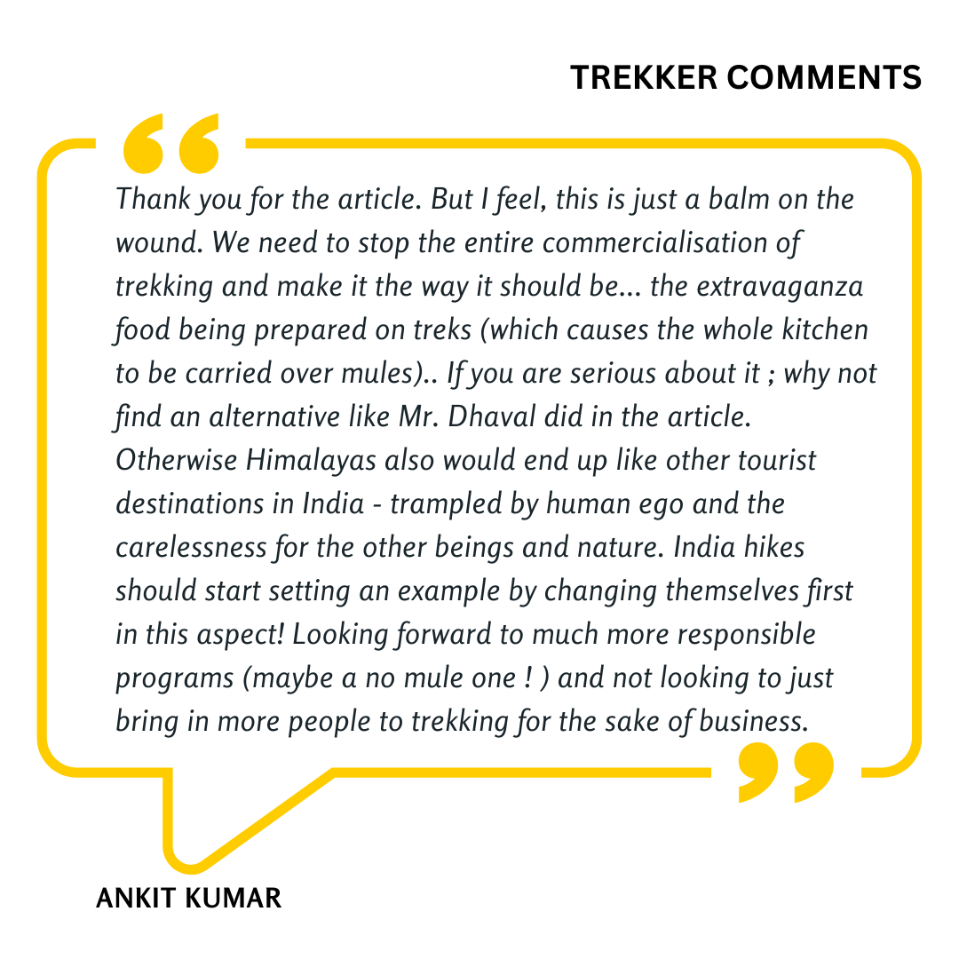 low-preview-71863020 a6bf 405f bd0b 6bd18c64c8a2 ankit offloading comments indiahikes