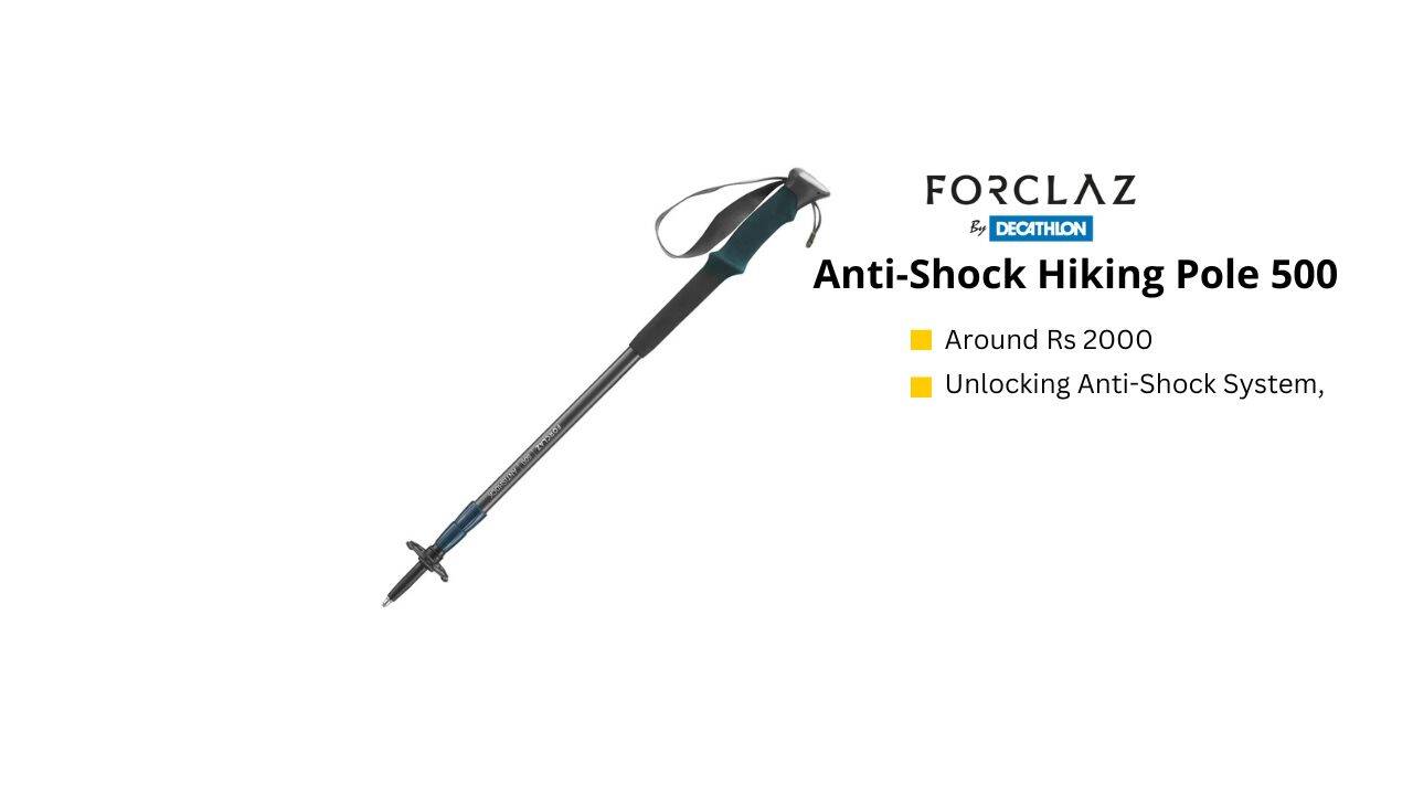 Best Trek Poles You Can Buy From Decathlon 6 Trek Poles Reviewed
