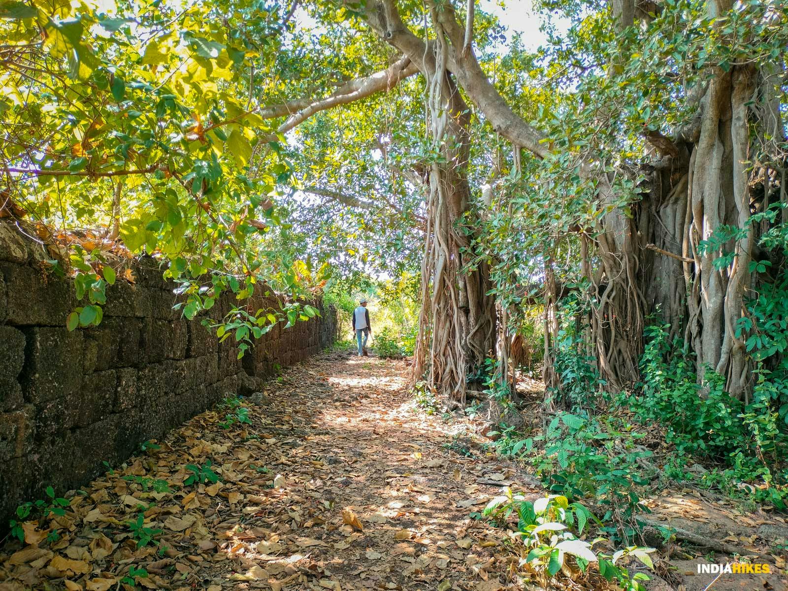 753898c6 709b 448d 8b2e 2d945c4ad01e goa netravali forest trek walking along the walls of cabo de rama fort suhas saya indiahikes