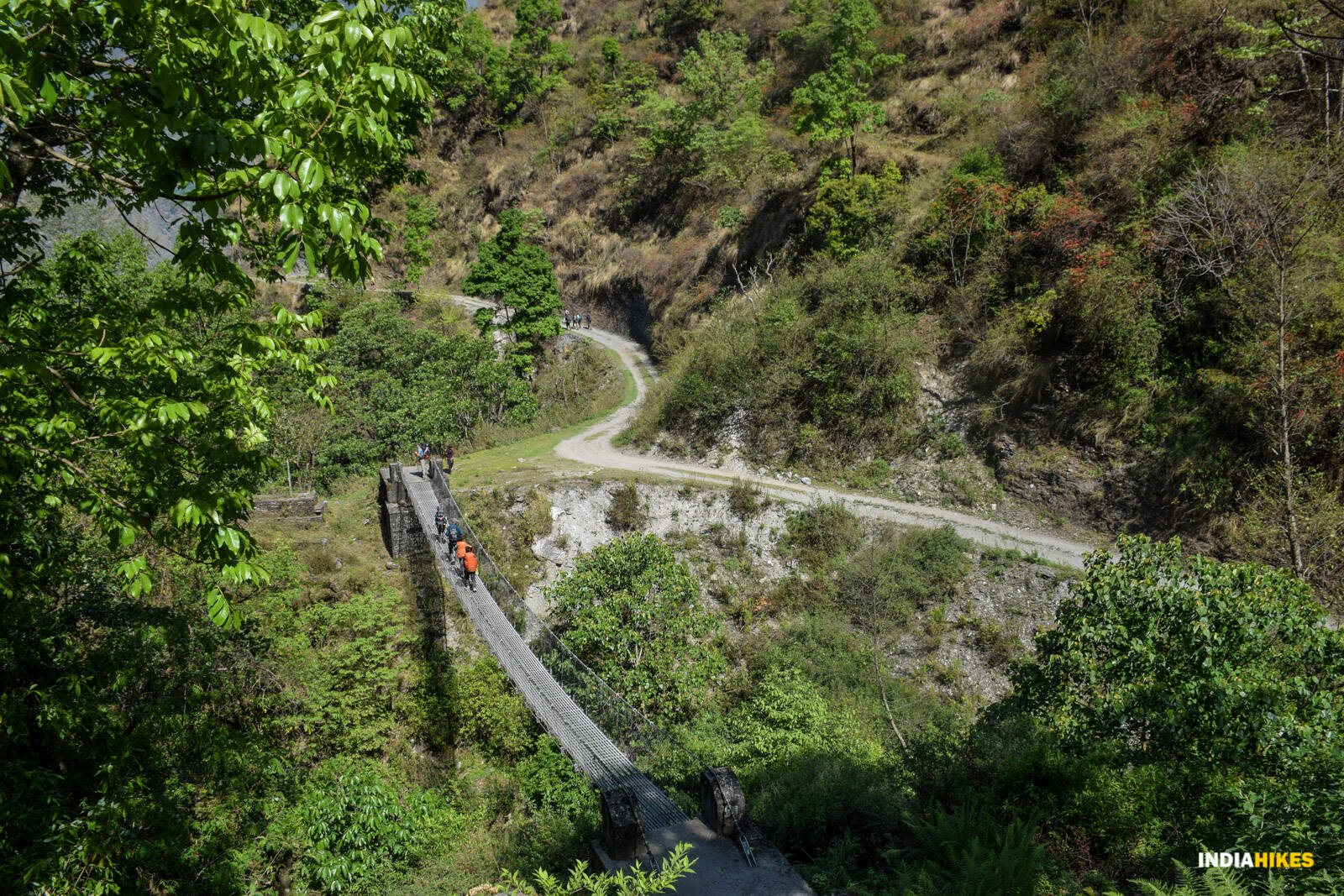 low-preview-77045794 891d 4bdf afe6 c36b977fb898 hanging bridge khopra ridge nitesh kumar indiahikes