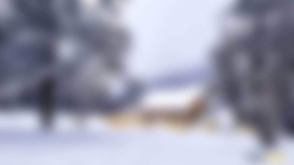 low-preview-Sandakhpu phalut winter himalayan treks indiahikes