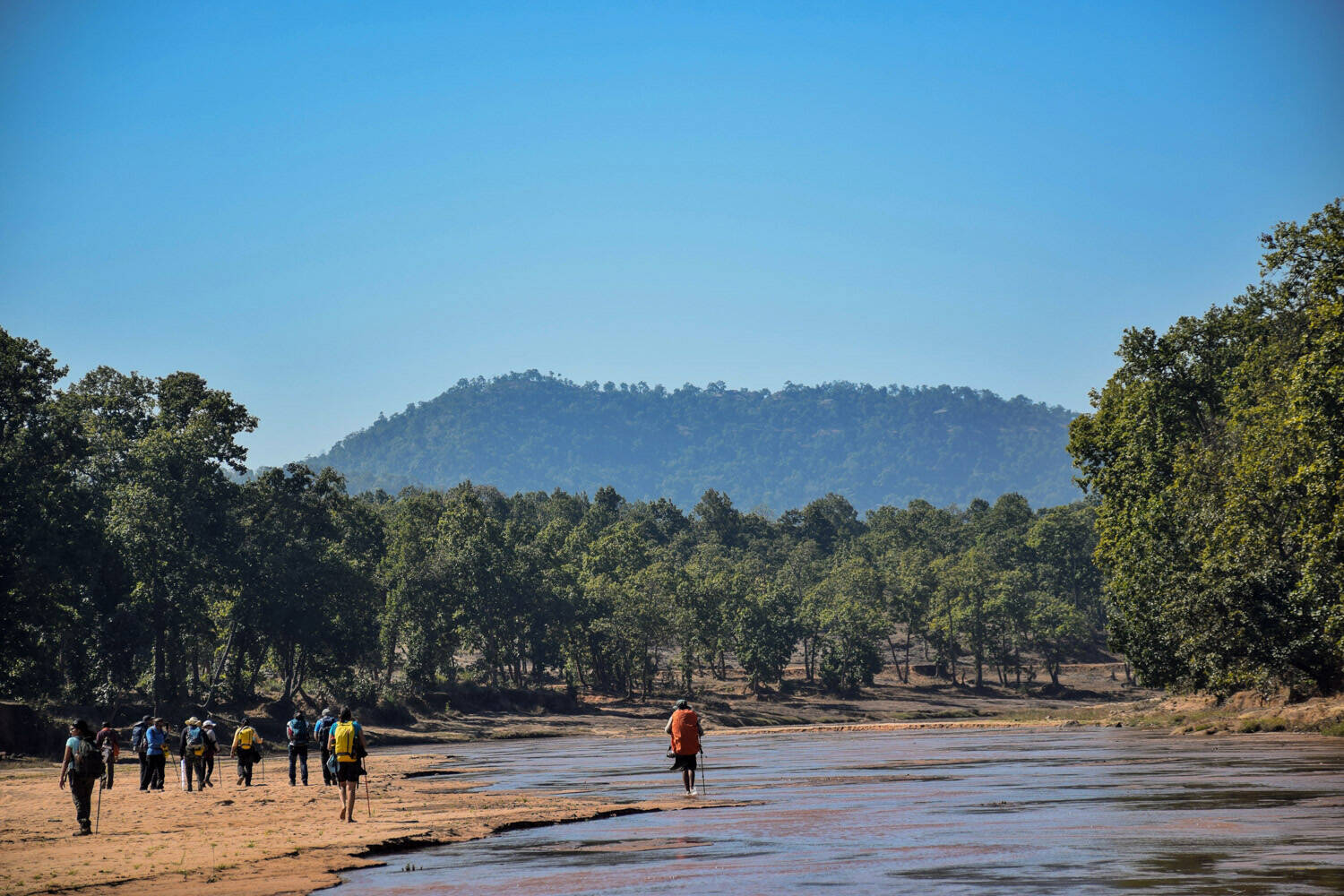 low-preview-Chhattisgarh jungle trek indiahikes winter trek