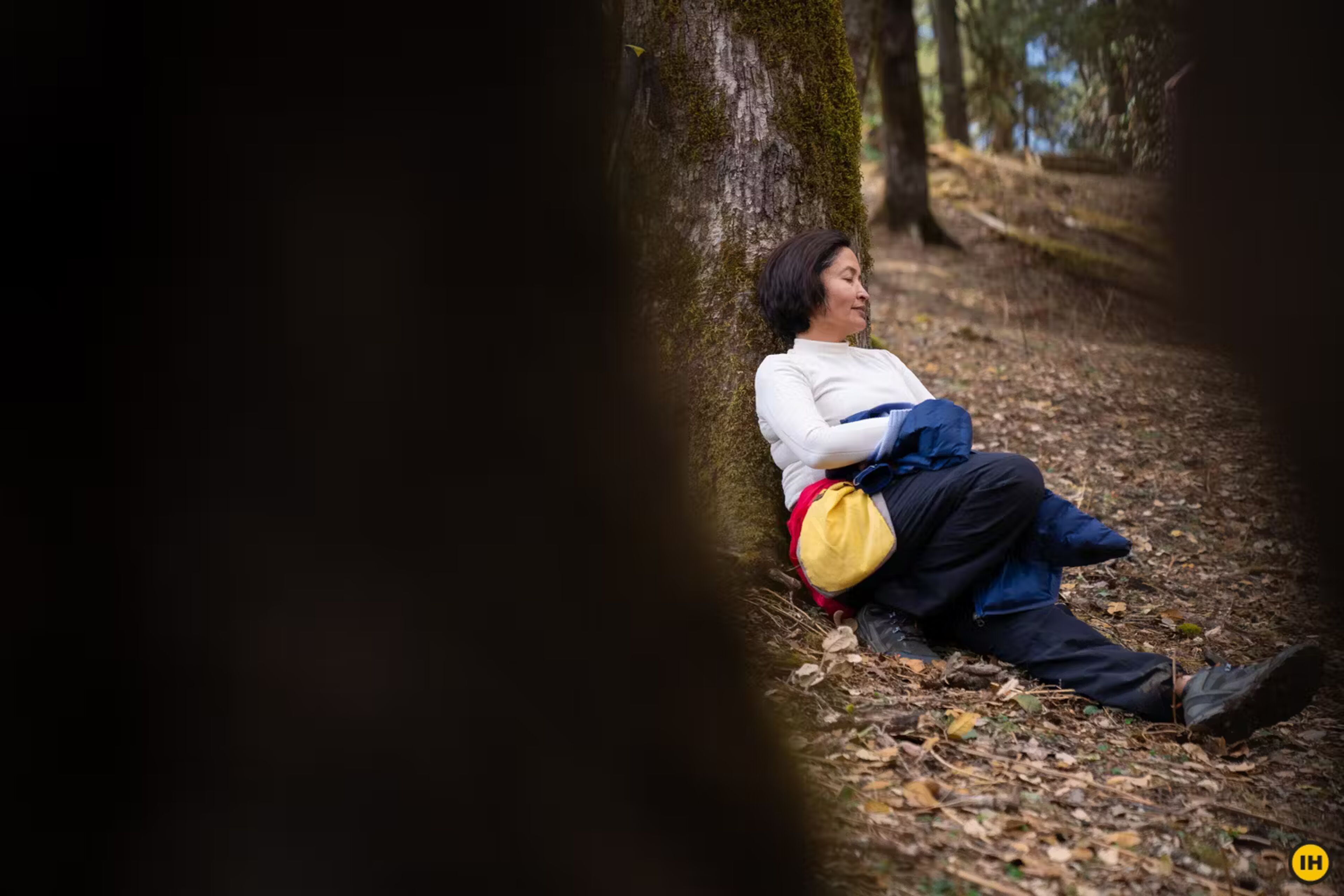 86468 ali bedni bugyal trek march 2021 indiahikes photo trekker yash trivedi trees trekker emotions 6