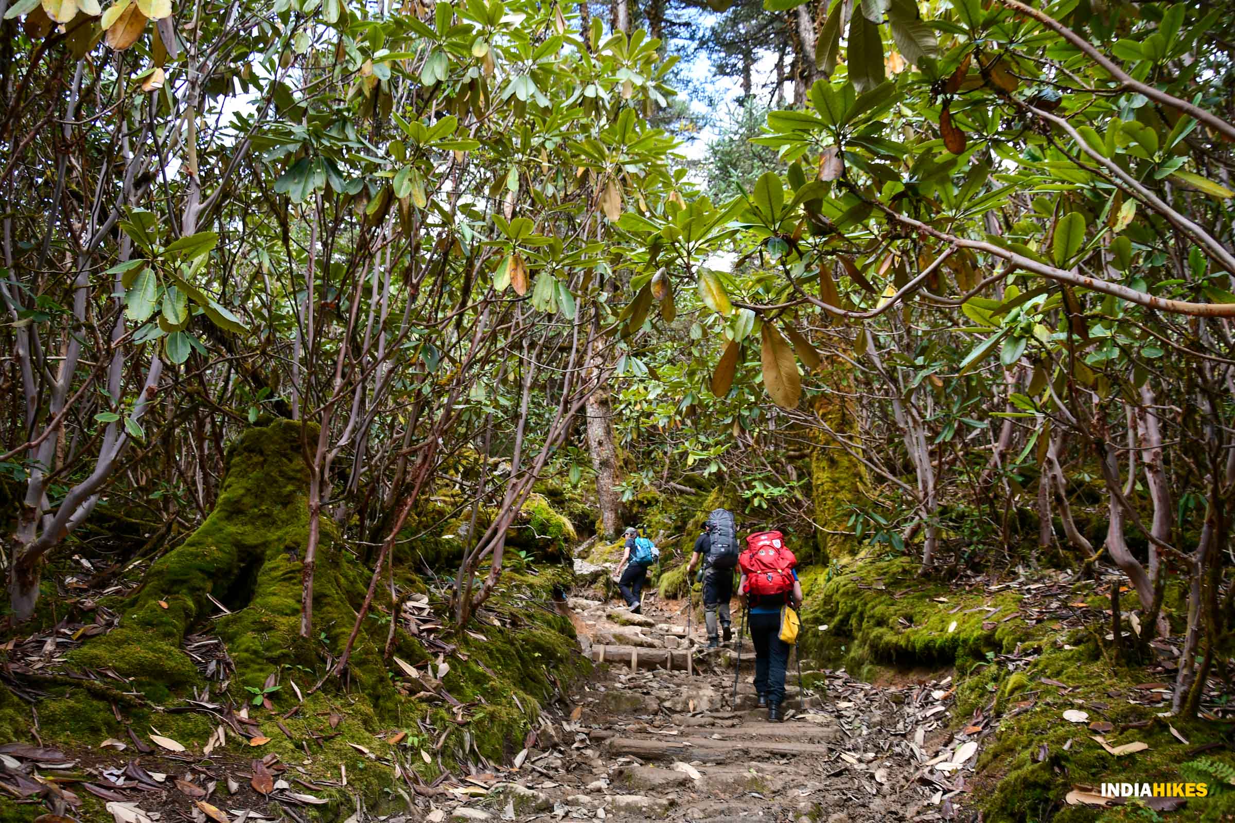 low-preview-969fe992 60e6 4782 a95a d8f8361eee59 goechala gcl samyak 24