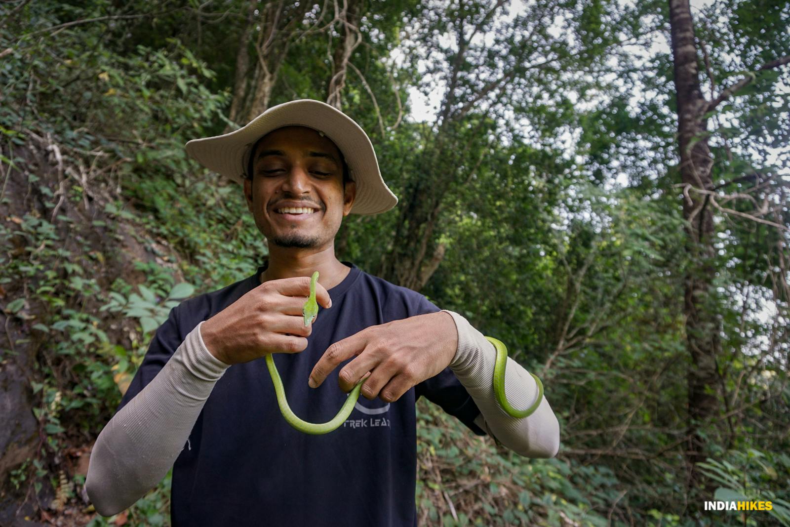 9ea1853f 8c19 40e4 a2f0 a530f78cbbdc goa netravali forest trek a beautiful vine snake on the trail of netravali nithyam nachappa indiahikes