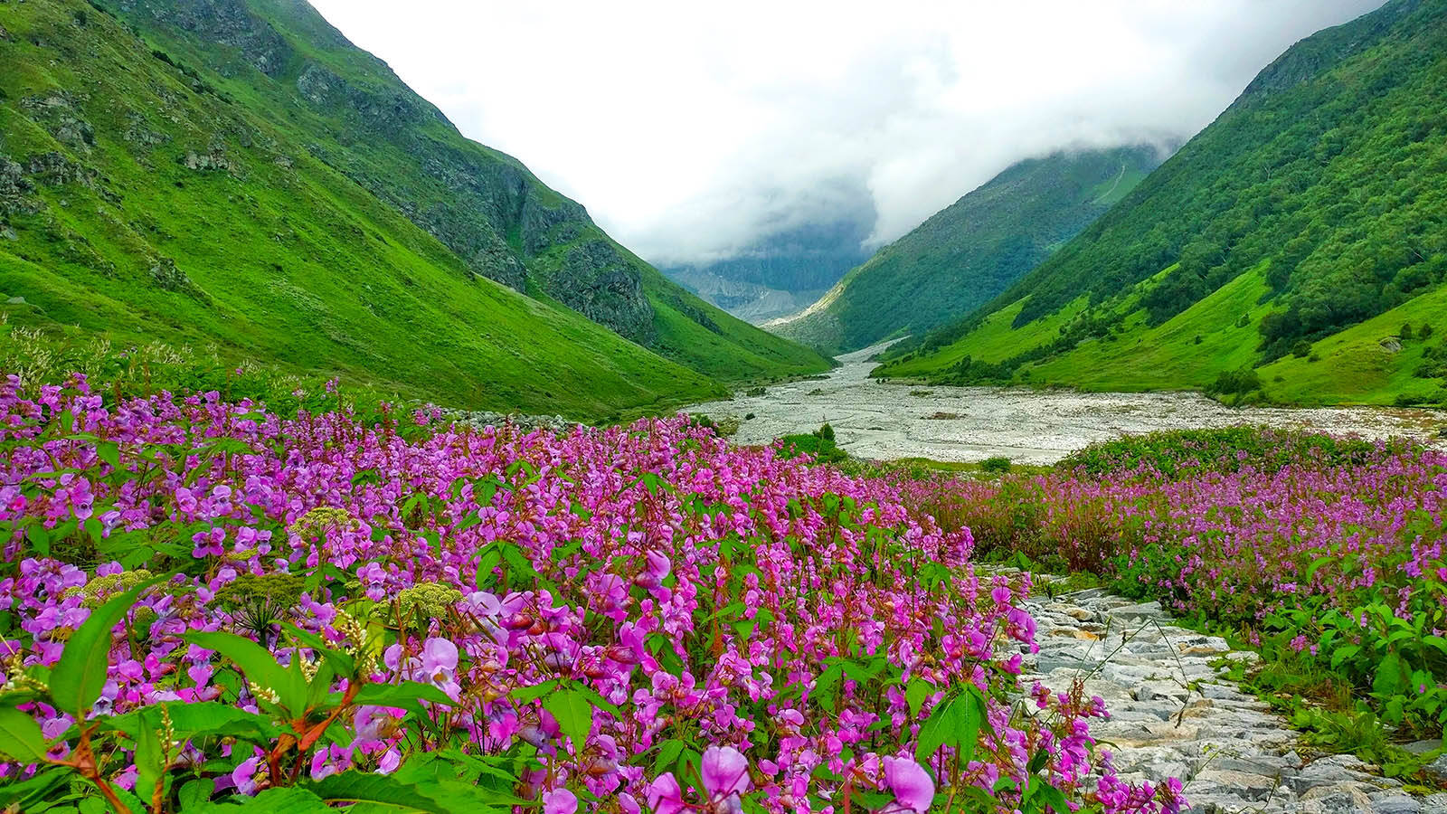 Valley of Flowers Trek 2025 - Uttarakhand - Cost, Itinerary, Photos -  Indiahikes