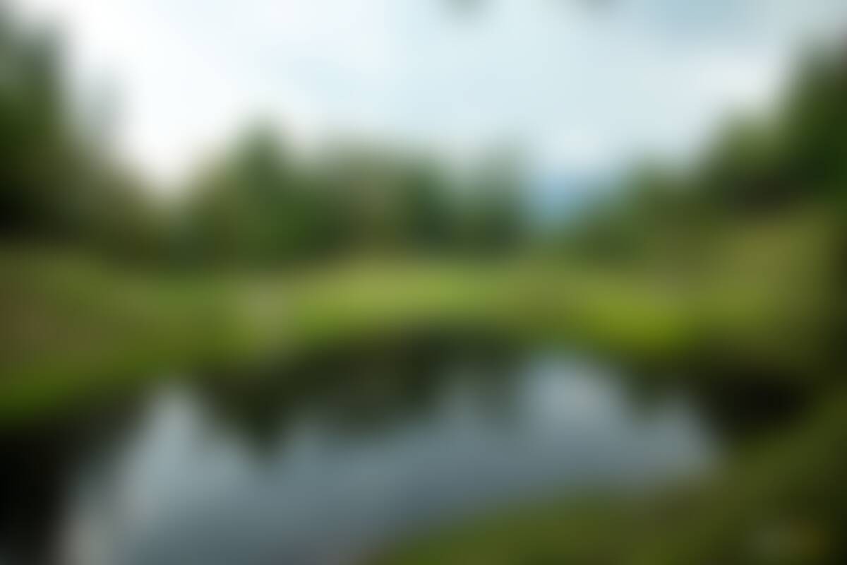 low-preview-zk8feiol0zci9ypc 10