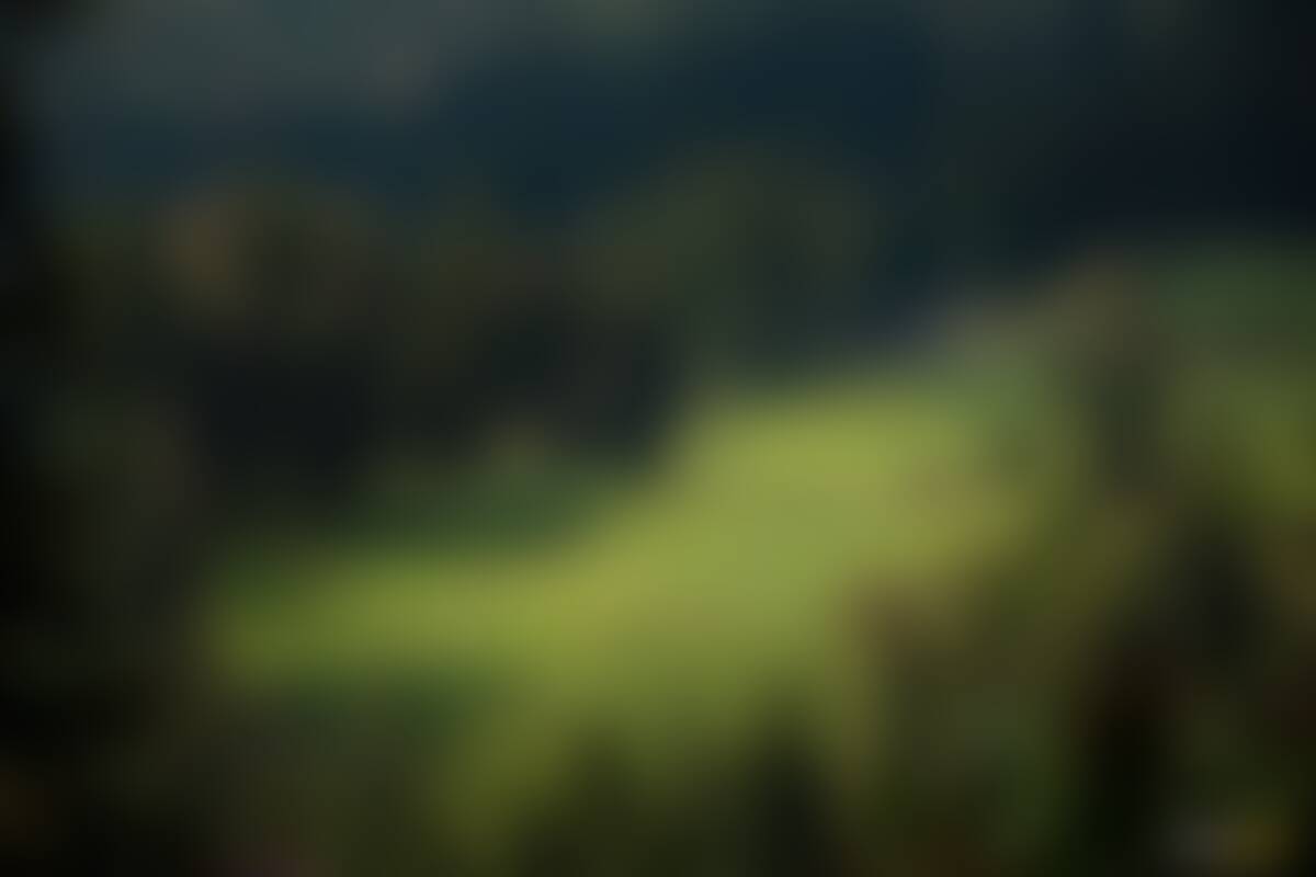 low-preview-zk8ffiol0zci9ypg 16