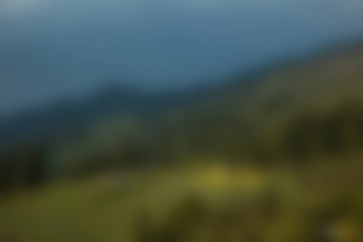 low-preview-zk8ffyol0zci9ypi 17