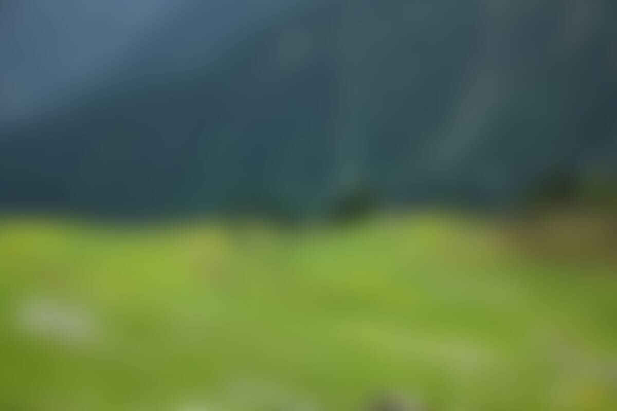 low-preview-zk8fhyol0zci9ypt 25