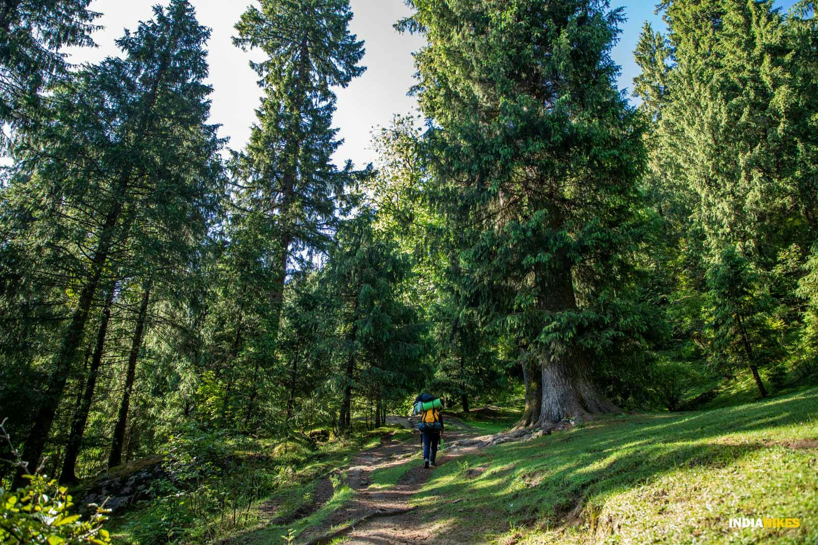 zlrphyk0v36pxpzu chandrakhanipass cp jothiranjan exploration junemonth2023 monsoontreks  2 