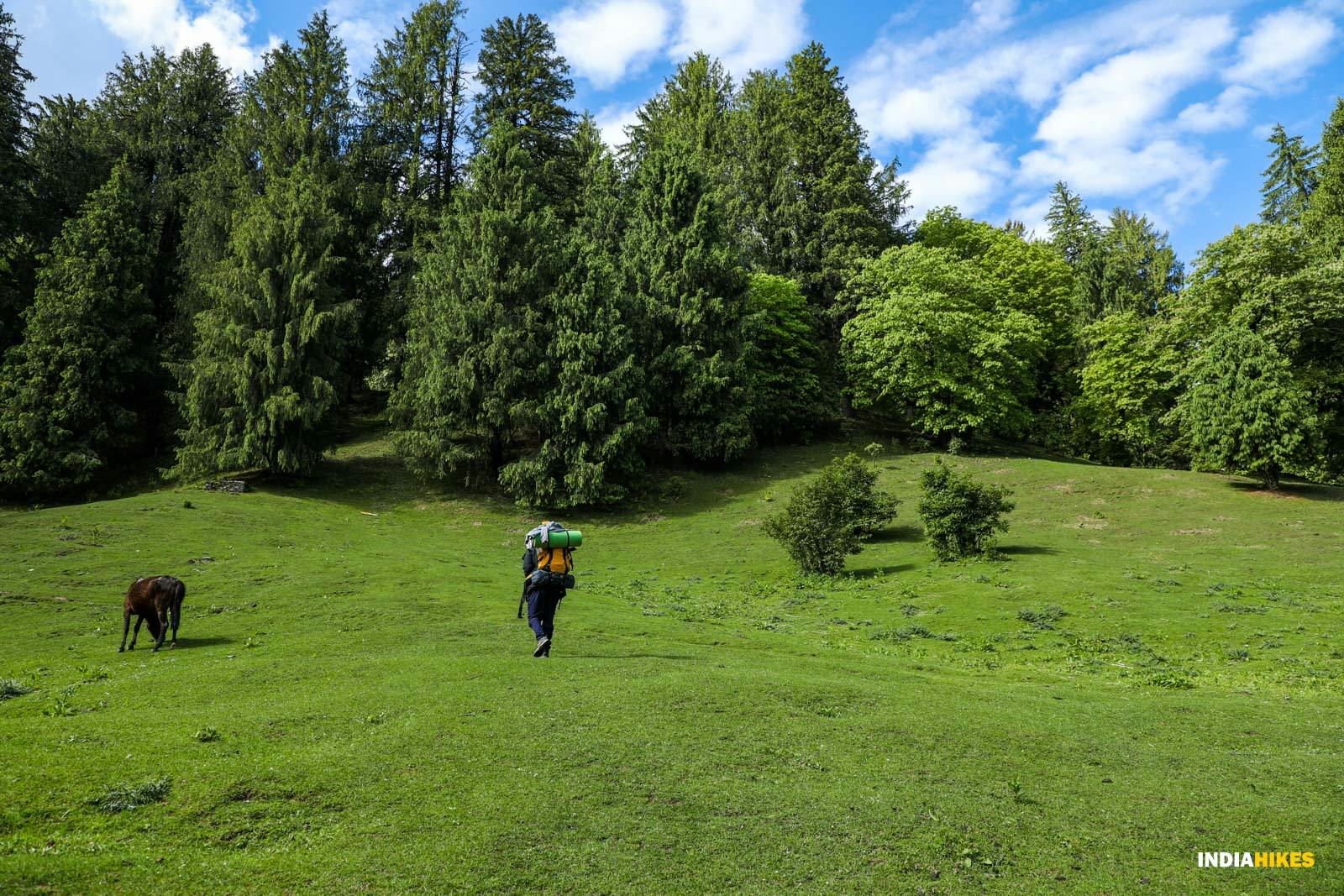 zlrpiik0v36pxpzx chandrakhanipass cp jothiranjan exploration junemonth2023 monsoontreks  5 