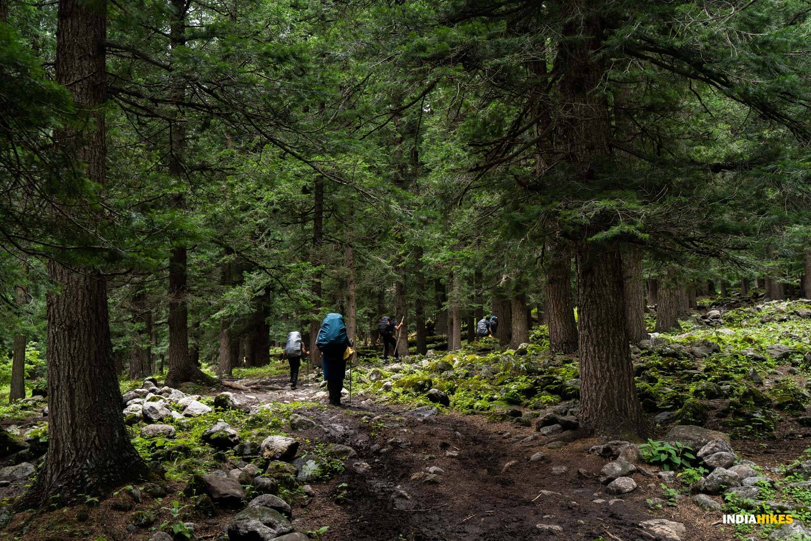 low-preview-zllepqwthyxtt9bw pinbhabatrek kafnutomulling sayandeep indiahikes 07