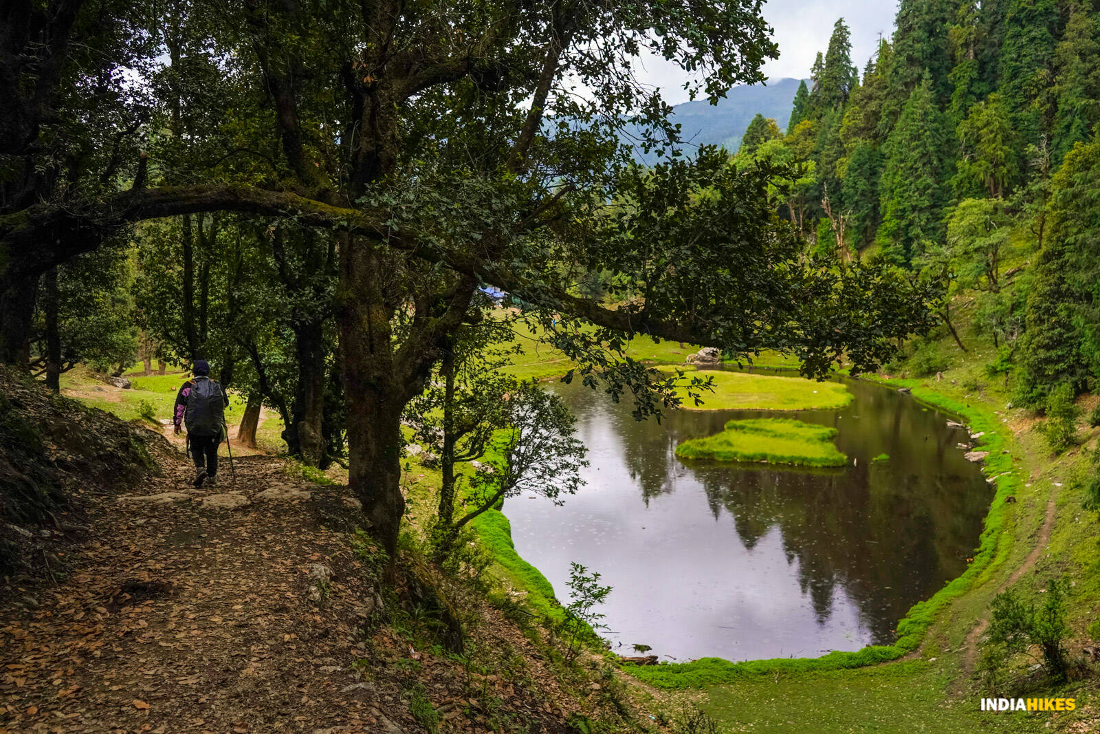 Phulara Ridge Trek 2026 | India’s Best Ridge Walk