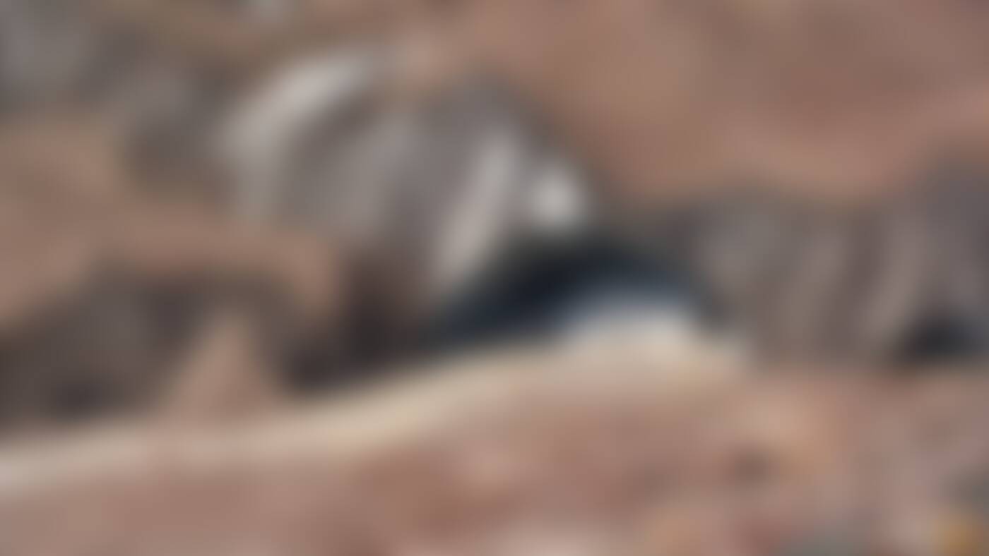 low-preview-ahelfumqnjqqhy9f chandrabhagaglaierstrek campandglaciers pritishbhanushali 18