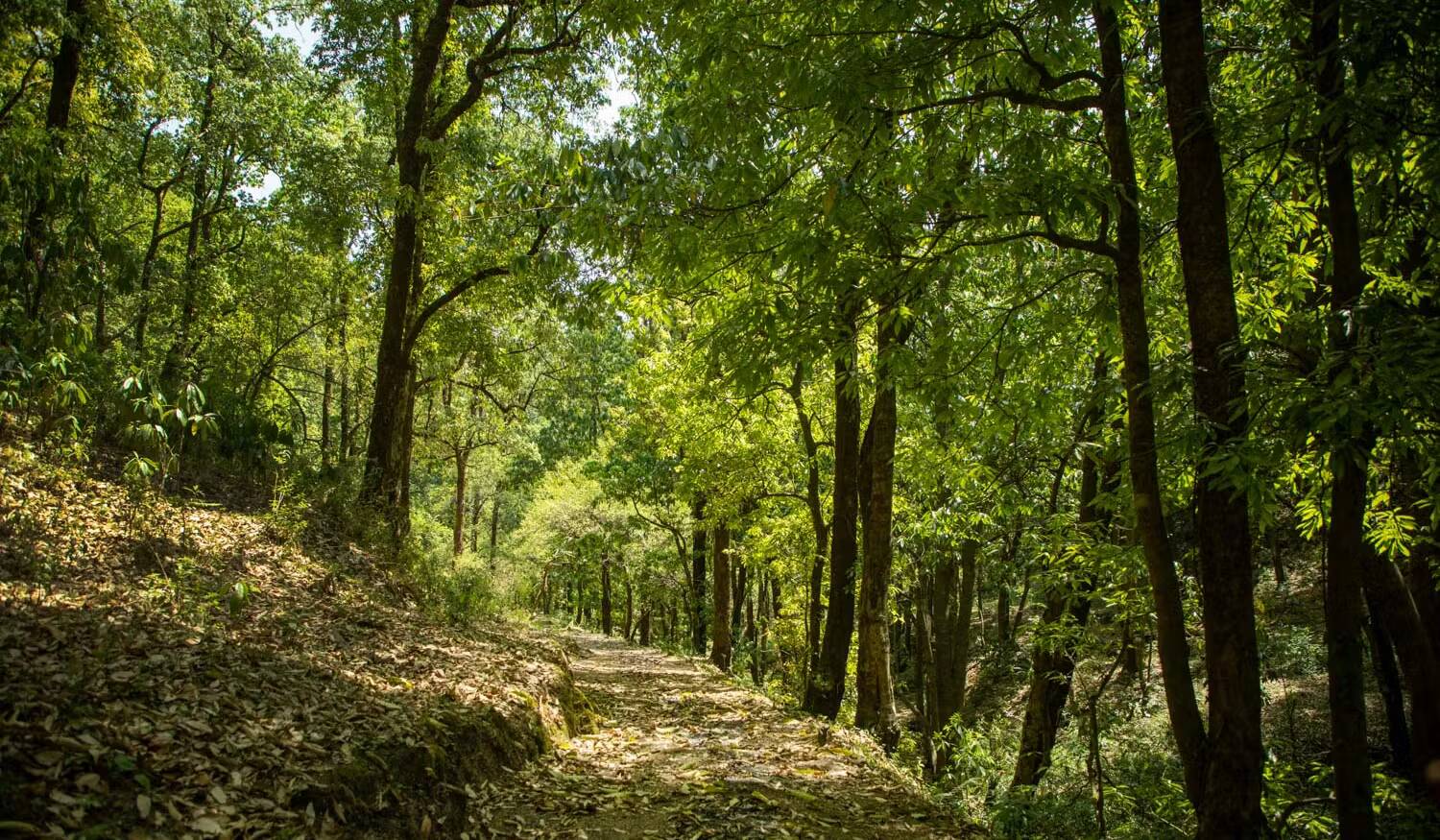 low-preview-b9b40861 c1ca 4dbd 8f27 eda63cbea018 benog tibba indiahikes jothiranjan april 2022 exploration %2868%29