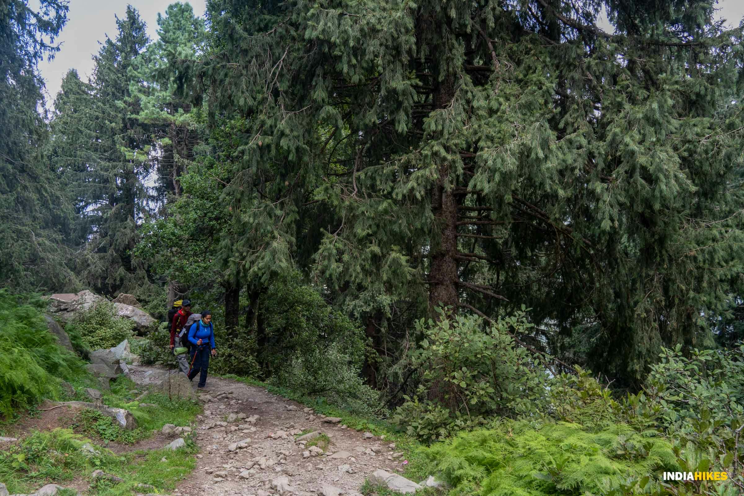 c11a9e0e b49f 4ff0 bbb5 4bbcb1097cce day 2 pir panjal lakes ppl pritish bhanushali exploration 2023  trekkers  %2811%29