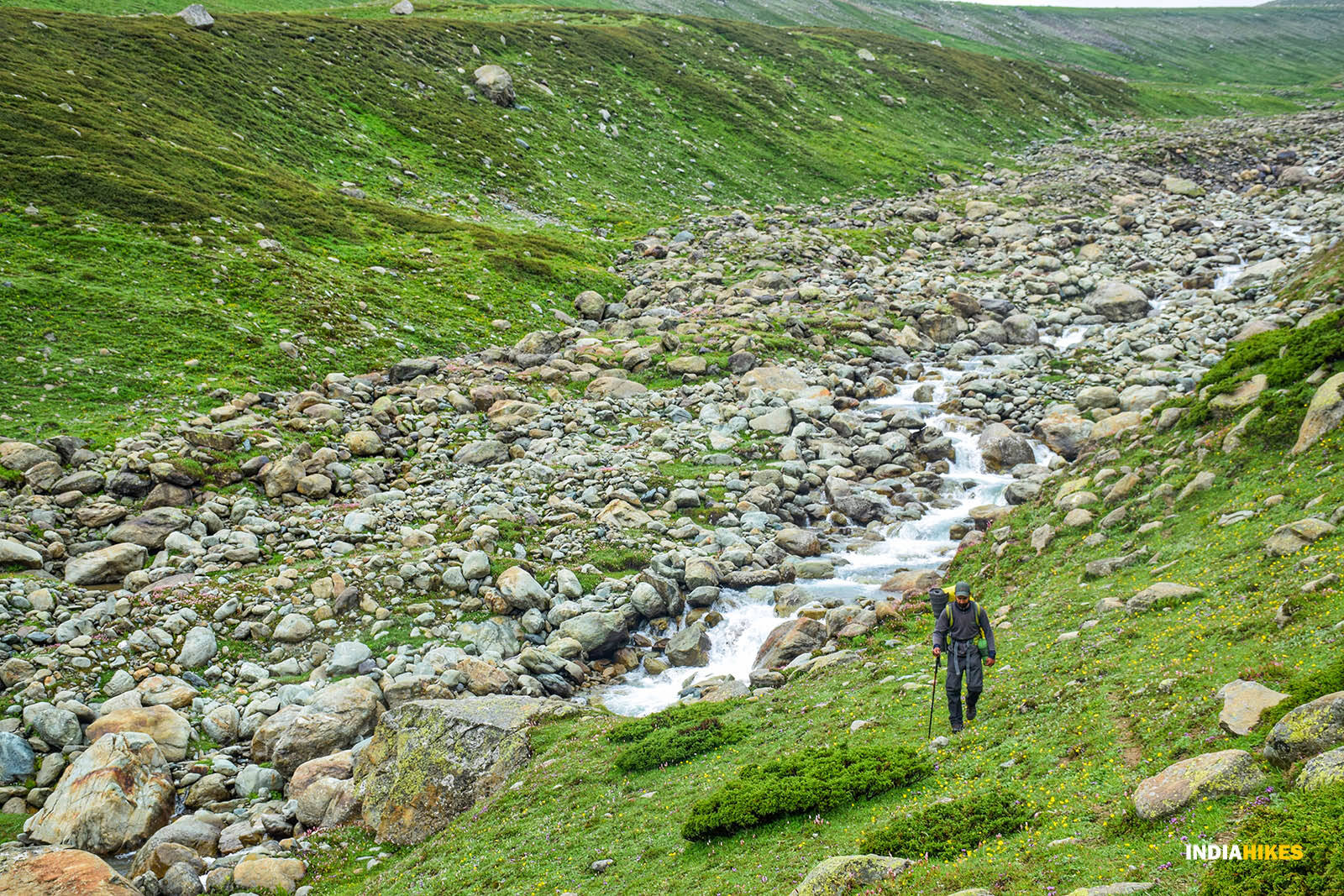 low-preview-c87500ae 68e8 474e 9fcb d4ff8c10683a dsc 0279 01 %281%29