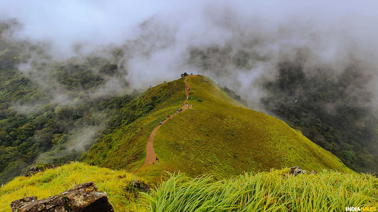 Trail view, Ettina Bhuja trek, western ghats treks, Indiahikes, treks in Karnataka, weekend treks ffrom Bangalore