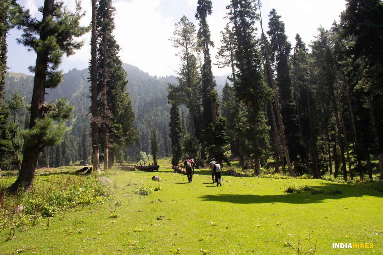 low-preview-ec8b60c2 b417 4a65 acef 1a5fc8ac2545 tulian lake lucas bragagnollo indiahikes %284%29