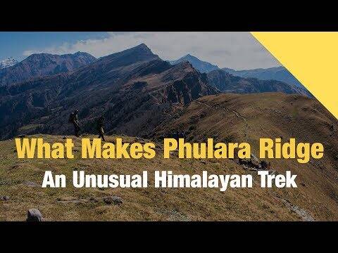 Phulara Ridge Trek 2024 - Trekking in Uttarakhand - Indiahikes