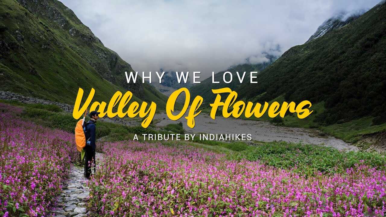 Valley of Flowers Trek 2025 Itinerary, Best time, Difficulty