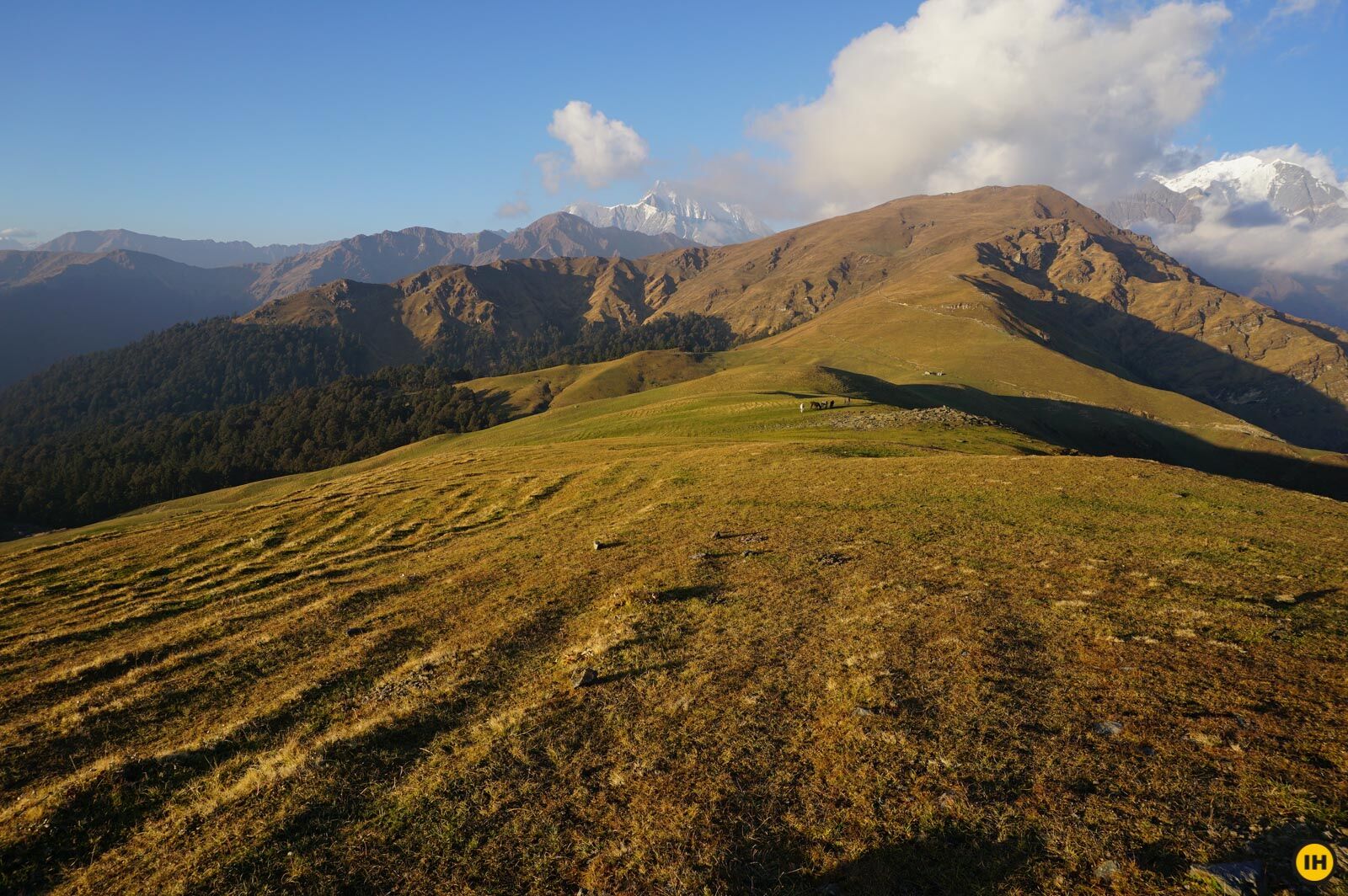the green meadows on the Ali bedni Bugyal